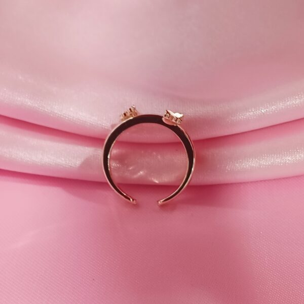 IMG_20250605_183747[1]