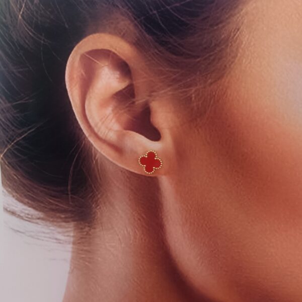 IMG_20250618_160437-min IMG_20250618_160437-min